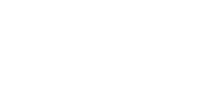 ANT Digital